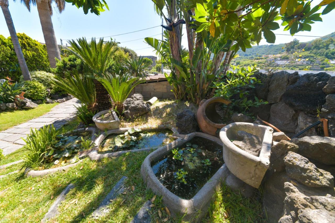 Villa Stefania Barano dʼIschia Exteriér fotografie
