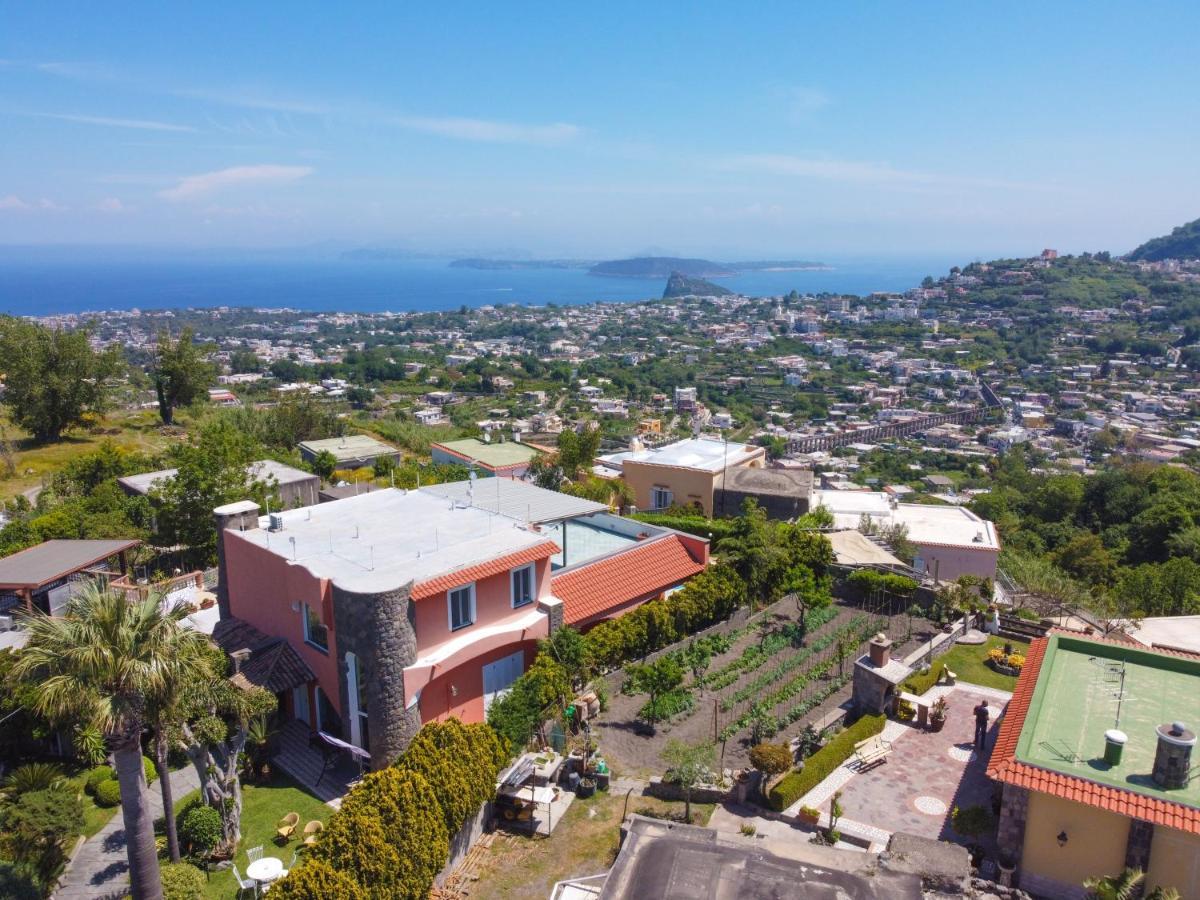 Villa Stefania Barano dʼIschia Exteriér fotografie